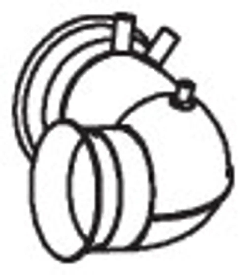 Tubo per DAF - 21544