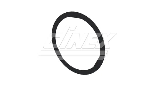 Guarnizione di scarico per DAF - 2AL005